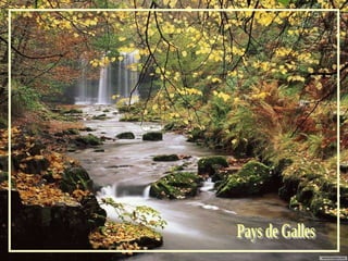Pays de Galles 