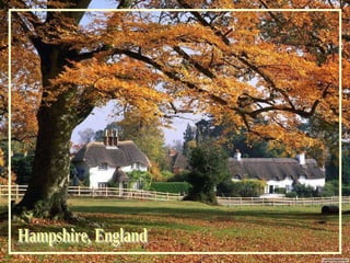 Hampshire, England 
