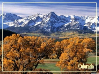 Colorado 