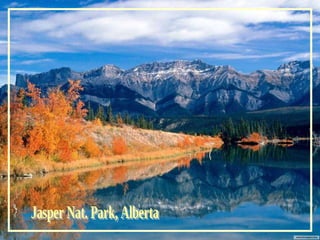 Jasper Nat. Park, Alberta 