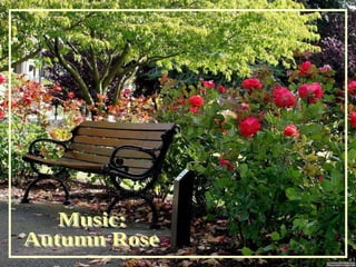 Music: Autumn Rose 