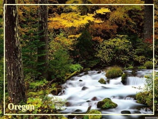 Oregon 