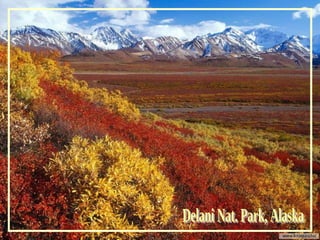 Delani Nat. Park, Alaska 