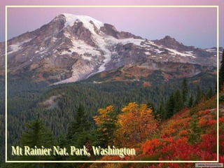 Mt Rainier Nat. Park, Washington 