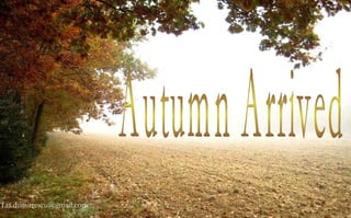 Autumn Arrived [email_address] 