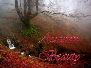Autumn beauty