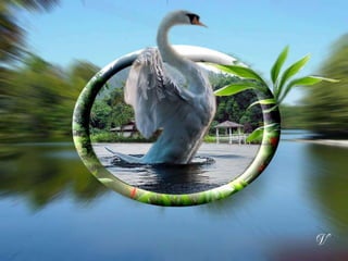 Power Point show by Vili