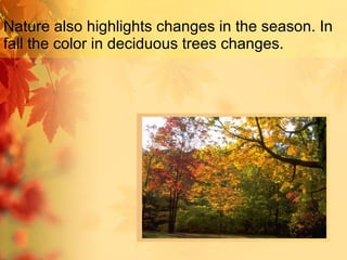 Nature also highlights changes in the season. In fall the color in deciduous trees changes. 