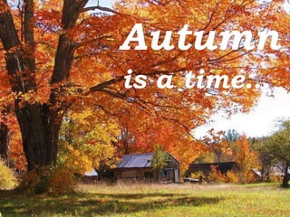 Autumn is a time… 