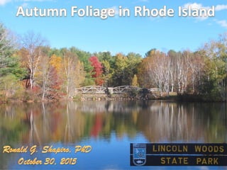 Autumn Foliage in Rhode Island -- Lincoln Woods October 30, 2015