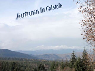Autumn in Calatele 