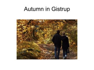 Autumn in Gistrup
 