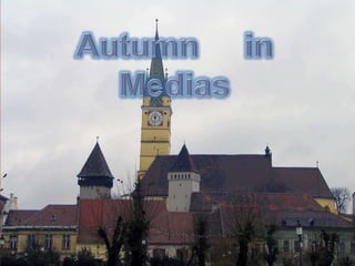 Autumn     in Medias 