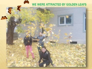 WE WERE ATTRACTED BY GOLDEN LEAFS

 