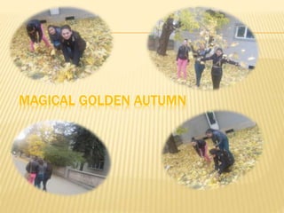 MAGICAL GOLDEN AUTUMN

 