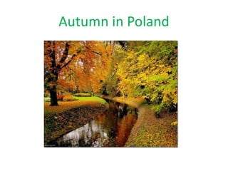 Autumn in Poland 
 