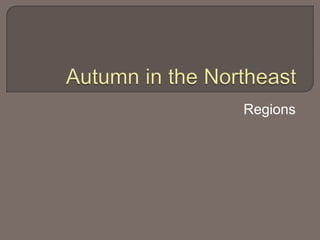 Autumn in the Northeast Regions 