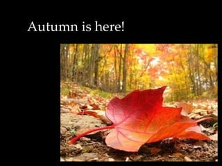 Autumn is here! 
