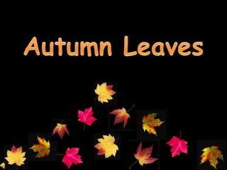 Autumn leaves (v.m.)