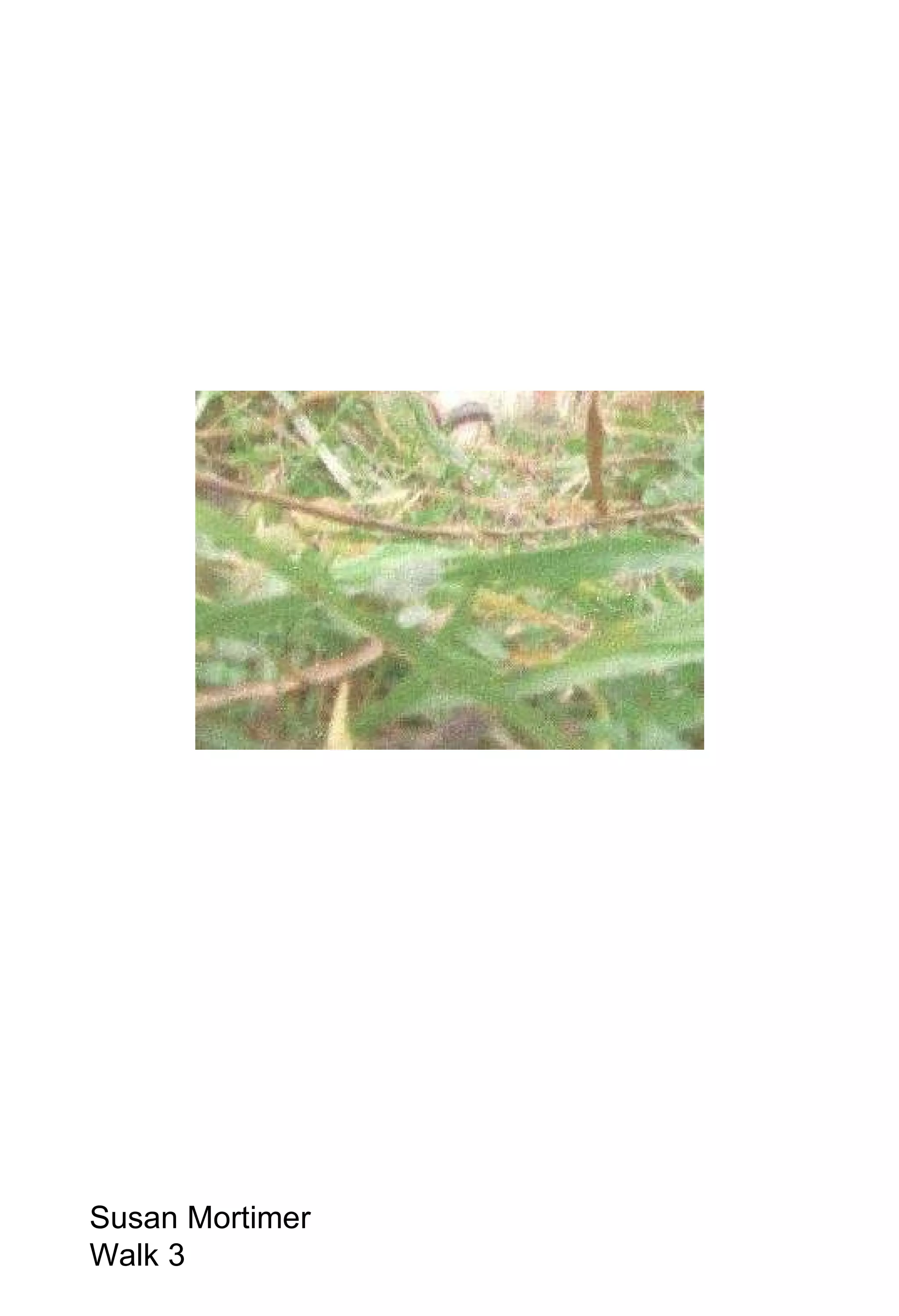 Susan Mortimer Walk 3