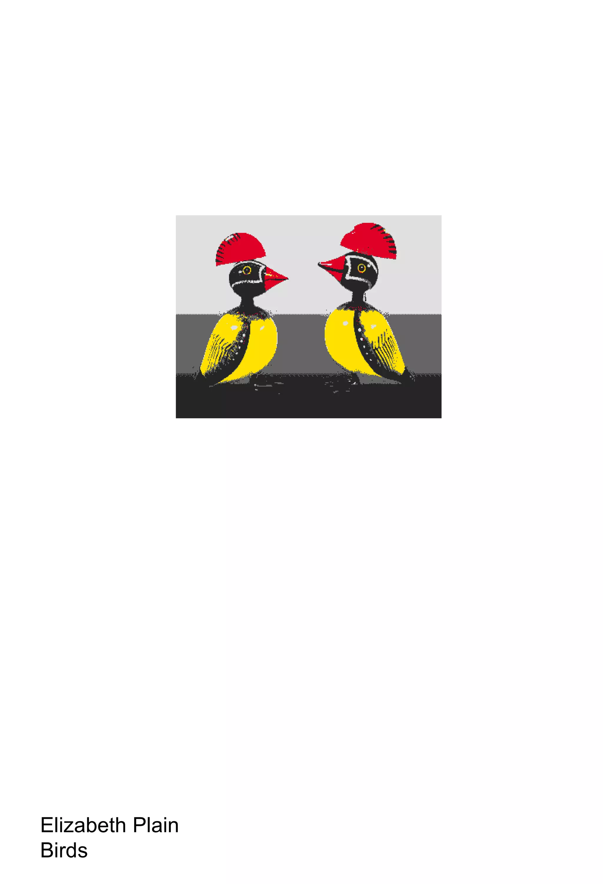 Elizabeth Plain Birds