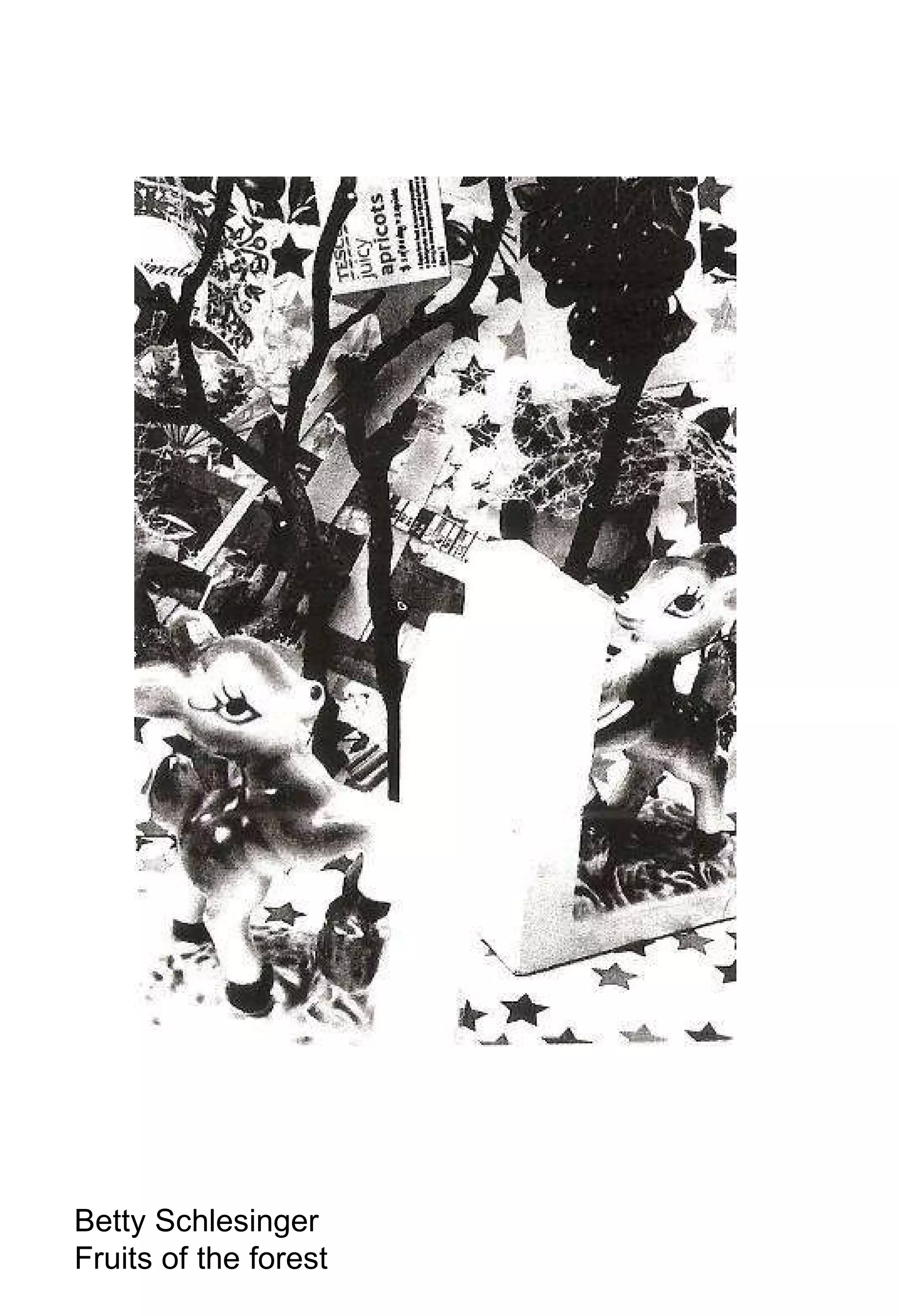 Betty Schlesinger Fruits of the forest