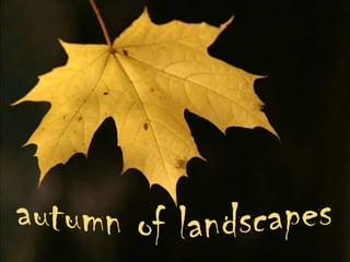 autumn of landscapes 