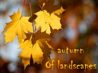 autumn  Of landscapes 