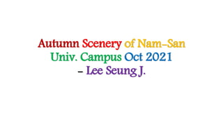 Autumn Scenery of Nam-San
Univ. Campus Oct 2021
- Lee Seung J.
 