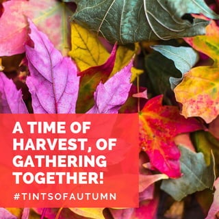 A TIME OF
HARVEST, OF
GATHERING
TOGETHER!
#TINTSOFAUTUMN
 