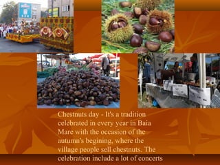 Chestnuts day - It's a tradition
celebrated in every year in Baia
Mare with the occasion of the
autumn's begining, where the
village people sell chestnuts. The
celebration include a lot of concerts

 
