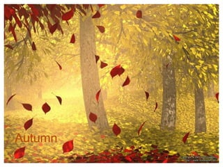 Autumn

 
