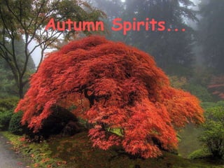Autumn Spirits... 