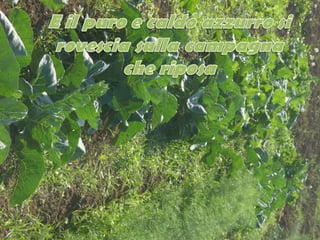 Autunno salutissimamente