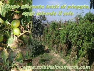 Autunno salutissimamente