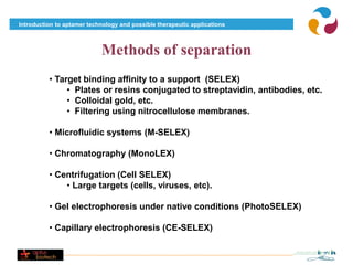Introduction to aptamer technology and possible therapeutic applications



                            Methods of separation
          • Target binding affinity to a support (SELEX)
               • Plates or resins conjugated to streptavidin, antibodies, etc.
               • Colloidal gold, etc.
               • Filtering using nitrocellulose membranes.

          • Microfluidic systems (M-SELEX)

          • Chromatography (MonoLEX)

          • Centrifugation (Cell SELEX)
              • Large targets (cells, viruses, etc).

          • Gel electrophoresis under native conditions (PhotoSELEX)

          • Capillary electrophoresis (CE-SELEX)
 