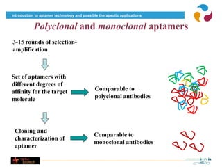 Introduction to aptamer technology and possible therapeutic applications


            Polyclonal and monoclonal aptamers
3-15 rounds of selection-
amplification



Set of aptamers with
different degrees of
affinity for the target                       Comparable to
molecule                                      polyclonal antibodies




 Cloning and
                                             Comparable to
 characterization of
                                             monoclonal antibodies
 aptamer
 