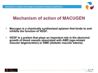 Introduction to aptamer technology and possible therapeutic applications




         Mechanism of action of MACUGEN

• Macugen is a chemically synthesized aptamer that binds to and
  inhibits the function of VEGF.

• VEGF is a protein that plays an important role in the abnormal
  growth of blood vessels associated with AMD (age-related
  macular degeneration) or DME (diabetic macular edema).
 