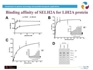 Introduction to aptamer technology and possible therapeutic applications



 Binding affinity of SELH2A for LiH2A protein
A                                                        B




C
                                                              D                       SELH2A




                                                                                                  2.5 μg/mL
                                                                           10 μg/mL


                                                                                        5 μg/mL
                                                                                                              500 ng   BSA

                                                                                                              500 ng

                                                                                                              100 ng
                                                                                                                       H2A
                                                                                                              50 ng

                                                                                                              25 ng

                                                                                                              -
 