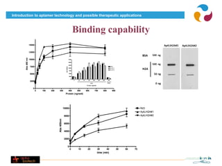 Introduction to aptamer technology and possible therapeutic applications



                                                                               Binding capability
A                   15000
                                                                                            B
                    12500
       Abs 405 nm




                    10000                                              17500

                                                                       15000

                                                                       12500
                    7500                                   Abs 405nm                                                                   Rd3
                                                                       10000                                                           LiAPT1
                                                                                                                                       LiAPT2
                                                                       7500


                    5000                                               5000

                                                                       2500

                                                                           0
                                                                               0    25   50     100         200     400   800    800
                    2500
                                                                                                      H2A                       BSA
                                                                                              Protein (ng/well)

                       0
                            0   100   200    300                       400         500        600             700         800            900
                                                          Protein (ng/well)




                                      C                 10000                                                                                                  Rd3
                                                                                                                                                               AptLiH2A#1
                                                        8000                                                                                                   AptLiH2A#2
                                            Abs 405nm




                                                        6000


                                                        4000


                                                        2000


                                                                       0
                                                                           0        10         20                 30            40              50   60   70
                                                                                                                  time (min)
 