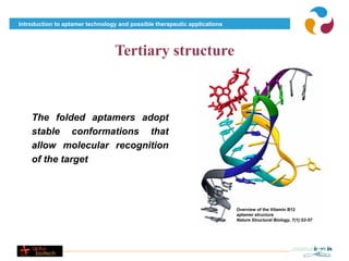 Introduction to aptamer technology and possible therapeutic applications




                                  Tertiary structure



    The folded aptamers adopt
    stable conformations that
    allow molecular recognition
    of the target




                                                                           Overview of the Vitamin B12
                                                                           aptamer structure
                                                                           Nature Structural Biology, 7(1):53-57
 