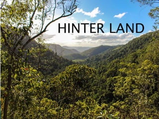 HINTER LAND
 
