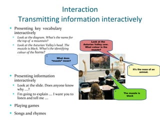 Interaction Transmitting information interactively Presenting  key  vocabulary interactively Look at the diagram. What’s the name for the top of  a mountain? Look at the Asturian Valley’s head. The muzzle is black. What’s the identifying colour of the  horns? Presenting information interactively Look at the slide. Does anyone know why ….? I’m going to explain …. I want you to listen and tell me …. Playing games Songs and rhymes Look at the Asturian Valley cow.  What colour is the muzzle? 1 What does “muzzle” mean? It’s the nose of an animal. The muzzle is black 2 3 4 