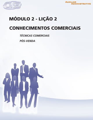 www.portalcns.com.br			 Auxiliar Administrativo	 	 Pag. 29
TÉCNICAS COMERCIAIS
PÓS-VENDA
CONHECIMENTOS COMERCIAIS
MÓDULO 2 - LIÇÃO 2
 