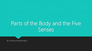 Parts of the Body and the Five
Senses
By Amanda Buddenhagen
 