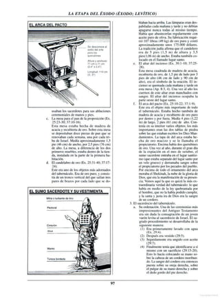 Auxiliar biblico-portavoz