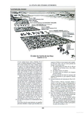 Auxiliar biblico-portavoz