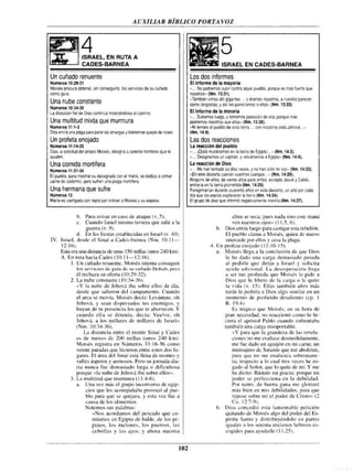 Auxiliar biblico-portavoz