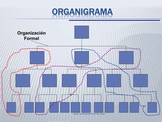 ORGANIGRAMA
www.auladeeconomia.com
Organización
Formal
 