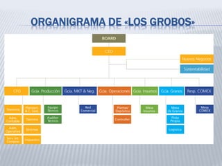 ORGANIGRAMA DE «LOS GROBOS»
 